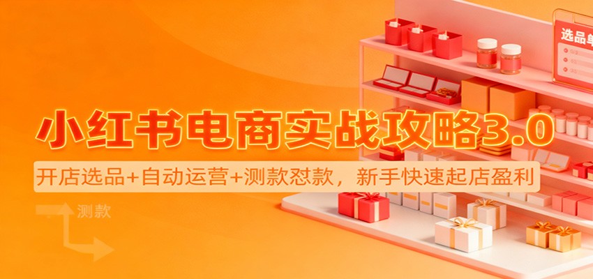 小红书电商实战攻略3.0：开店选品+自动运营+测款怼款，新手快速起店盈利-洛柒笔记