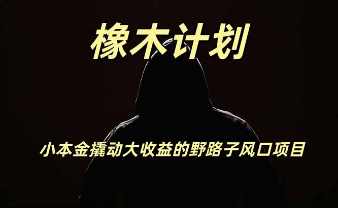 橡木计划，小投入撬动高回报的风口野路子项目，一天投入2小时左右-洛柒笔记