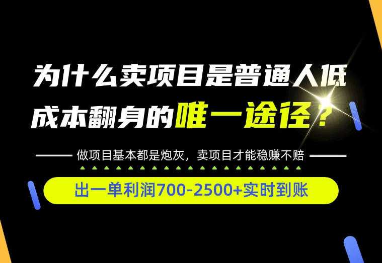 普通人如何靠互联网賺取自己的第一桶金！全类目实操型教学，看完你全都懂了！【揭秘】-洛柒笔记