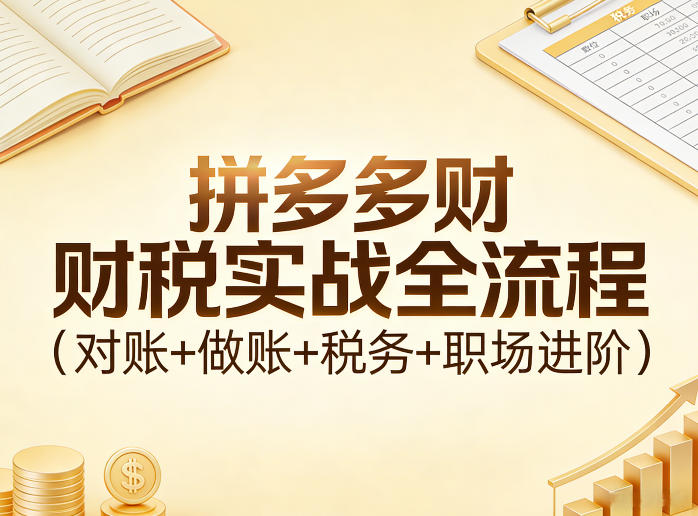 拼多多财税实战全流程（对账+做账+税务+职场进阶）-洛柒笔记