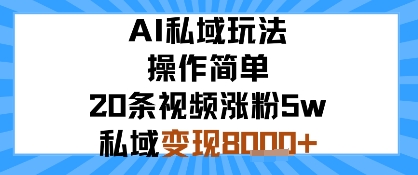 AI私域玩法，操作简单，20条视频涨粉5w，私域变现8k+-洛柒笔记