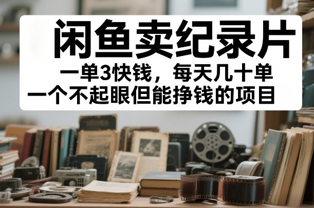 闲鱼卖纪录片，一单3快钱，每天几十单，一个不起眼但能挣钱的项目【揭秘】-洛柒笔记