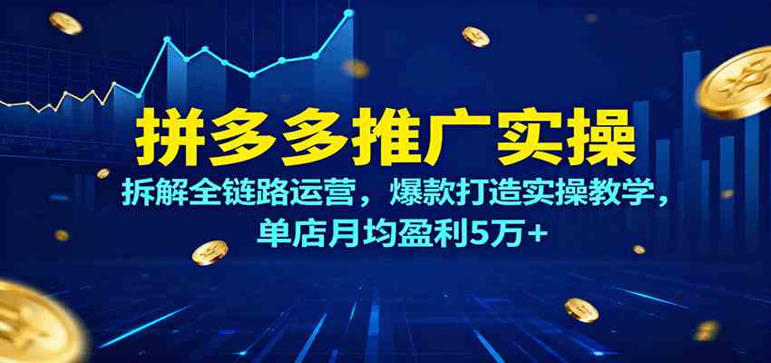 拼多多推广实操，拆解全链路运营，爆款打造实操教学，单店月均盈利5万+-洛柒笔记