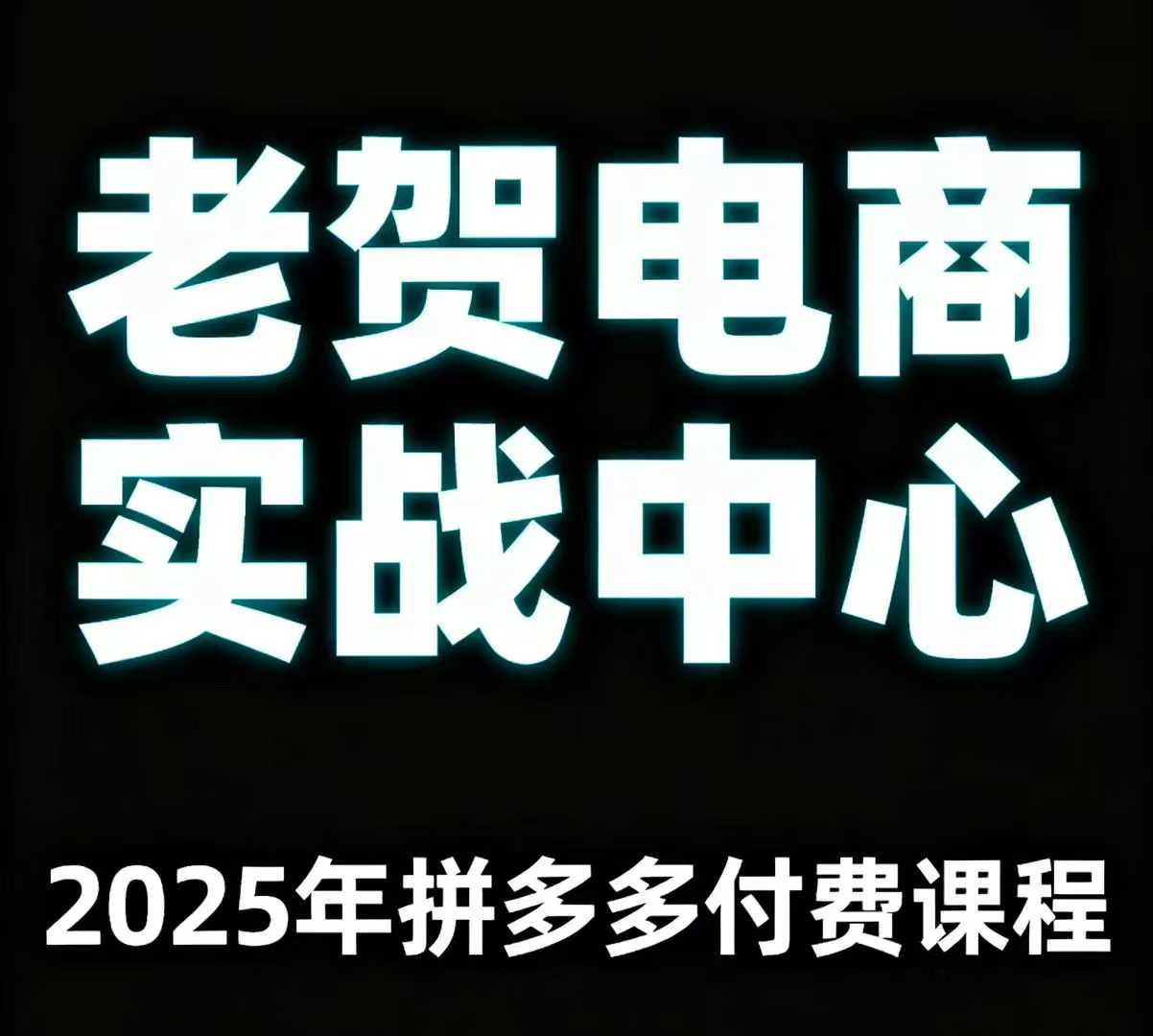 老贺电商2025年拼多多付费课程，用通俗易懂的方法告诉你多多怎么玩-洛柒笔记