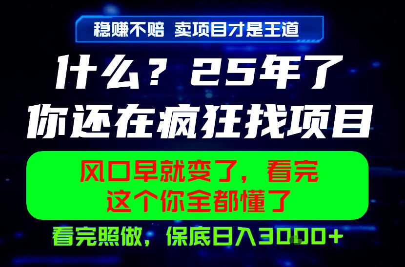 26年，请不要疯狂的找项目做了！卖项目才是真的稳賺不赔，看完照做，保底日入1k+【揭秘】-洛柒笔记