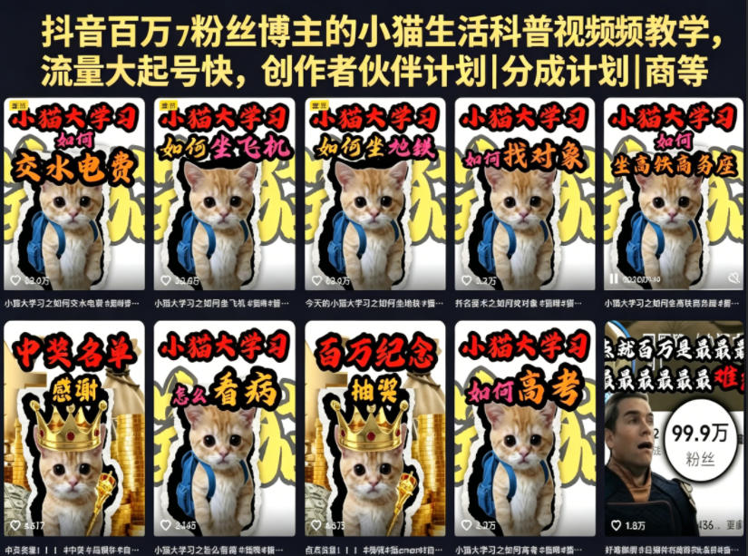 抖音百万粉丝博主的小猫生活科普视频教学，流量大起号快，创作者伙伴计划|分成计划|商单|收徒等-洛柒笔记