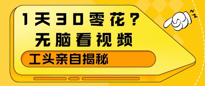1天30零花？无脑看视频，大佬亲自揭秘-洛柒笔记