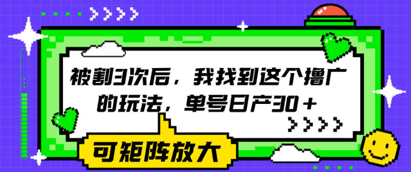 被割3次后，我找到这个撸广的玩法，单号日产30+，可矩阵放大-洛柒笔记