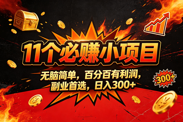 （20433期）9个必赚的小项目，无脑简单，百分百赚米的，副业首选，日收300-洛柒笔记