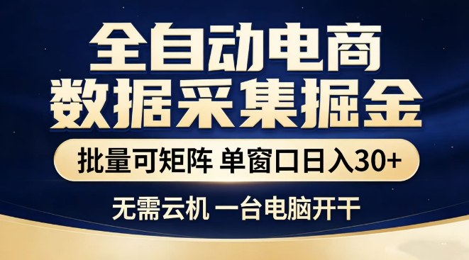 全自动电商数据集掘金，批量可矩阵，单窗口日入30+，无需云机，一台电脑开干【揭秘】-洛柒笔记
