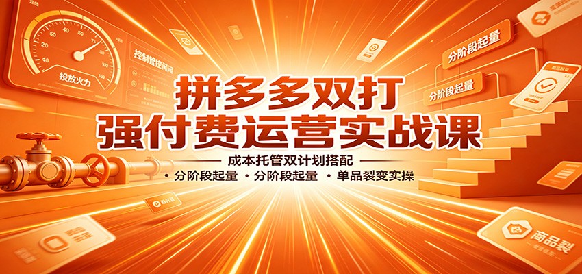 拼多多双打强付费运营实战课：成本托管双计划搭配，分阶段起量，单品裂变实操-洛柒笔记