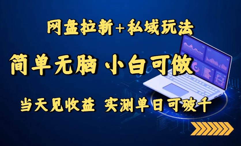 网盘拉新+私域玩法，简单无脑，小白可做，当天见收益，实测单日可破千-洛柒笔记