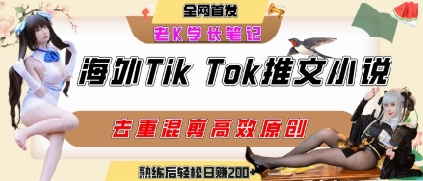 海外tiktok小说推文暴力项目，高停留率，高转化率，上手后一天搞顿饭钱不是问题-洛柒笔记