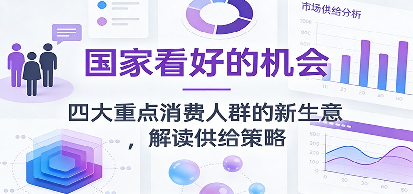 公众号付费文章：国家看好的机会，四大重点消费人群的新生意，解读供给策略-洛柒笔记