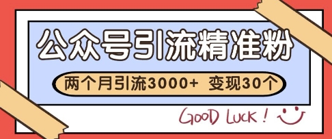 公众号精准粉引流玩法，2个月3000+精准粉，变现30个W【揭秘】-洛柒笔记