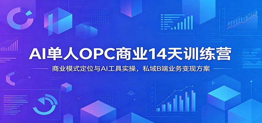 AI单人OPC商业14天训练营：商业模式定位与AI工具实操，私域B端业务变现方案-洛柒笔记