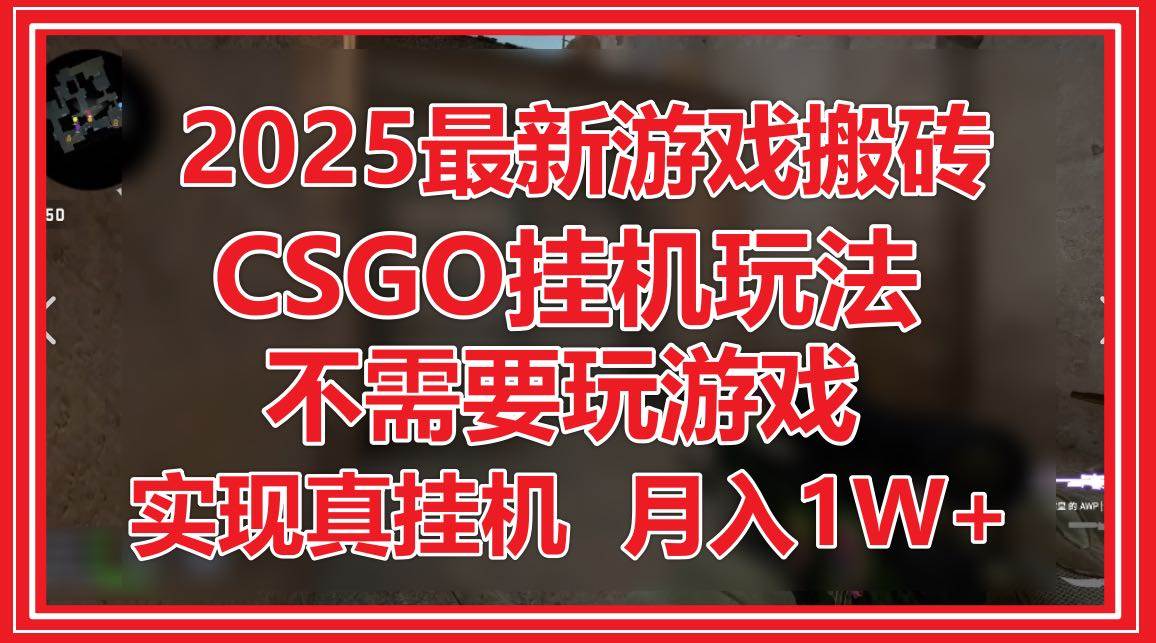 （14743期）2025最新游戏搬砖，CSGO挂机，不需要玩游戏，实现真挂机，月入1W+-洛柒笔记