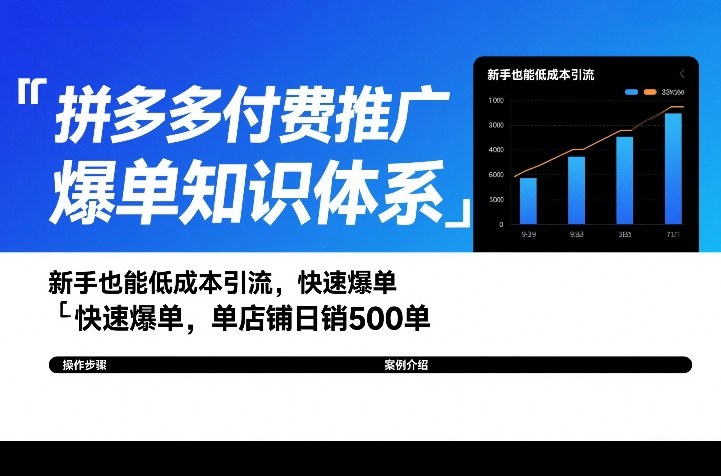 拼多多付费推广爆单知识体系，新手也能低成本引流，快速爆单，单店铺日销500单-洛柒笔记