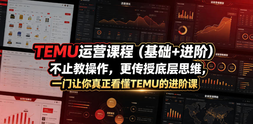 TEMU运营课程（基础+进阶），不止教操作，更传授底层思维，一门让你真正看懂TEMU的进阶课-洛柒笔记