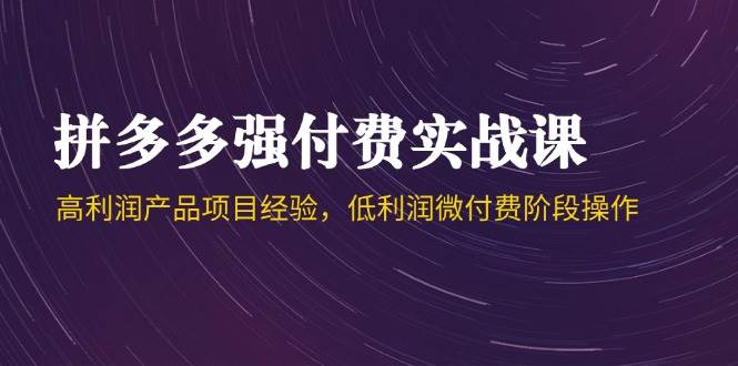 （14874期）拼多多强付费实战课-44期，高利润产品项目经验，低利润微付费阶段操作-洛柒笔记