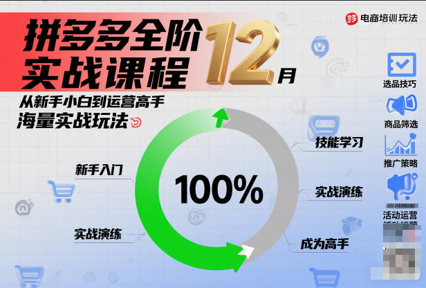 拼多多全阶实战课程12月，从新手小白到运营高手，海量实战玩法-洛柒笔记