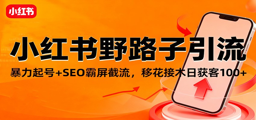 小红书野路子引流，暴力起号+SEO霸屏截流，移花接木日获客100+-洛柒笔记