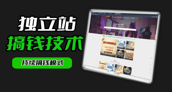 干货来袭！麦子甜带你吃透独立站｜从搭建到引流一站式教学《独立站》第一期-洛柒笔记