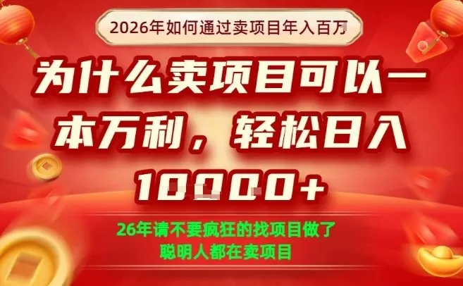 一单净利润1K+，26年想年入100个W，死磕卖项目就够了-洛柒笔记