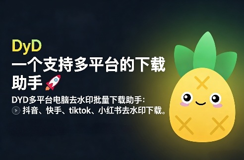 DYD多平台电脑去水印批量下载助手：抖音、快手、tiktok、小红书去水印下载-洛柒笔记