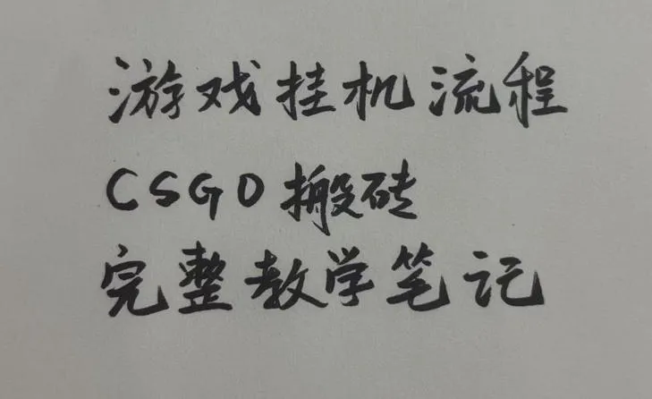 游戏挂G全流程笔记分享，CSGO游戏搬砖，小白看了当天学会见收益-洛柒笔记