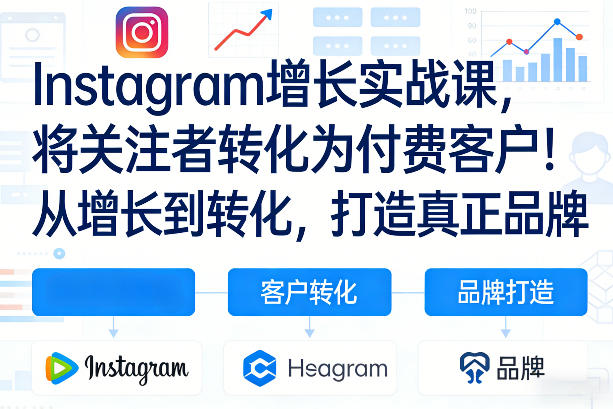 Instagram增长实战课，将关注者转化为付费客户！从增长到转化，打造真正品牌（双语字幕）-洛柒笔记