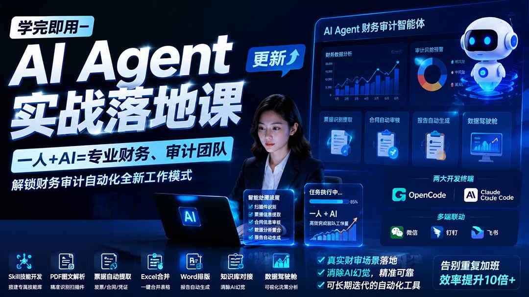 （20625期）【无水印】学完 即用-AI Agent实操落地课-更新0924：一人 + AI=专业财务、审计团队，解锁财务审计自动化全新工作模式-洛柒笔记