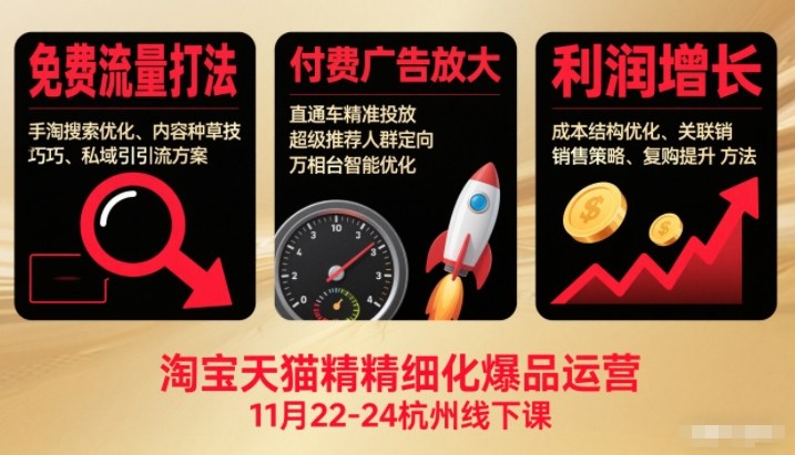 淘宝天猫精细化爆品运营11月22-24杭州线下课，免费流量打法+付费广告放大+利润增长（音频+文档）-洛柒笔记