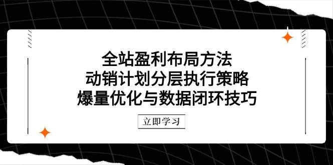 （14698期）全站盈利布局方法：动销计划分层执行策略，爆量优化与数据闭环技巧-洛柒笔记
