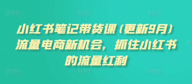 小红书笔记带货课，流量电商新机会，抓住小红书的流量红利(更新26年2月)-洛柒笔记