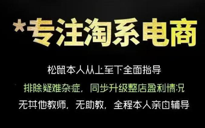 松鼠会电商VIP课程，从基础布局到高阶优化，助你掌握淘宝运营逻辑，提升店铺流量与转化（更新0827）-洛柒笔记