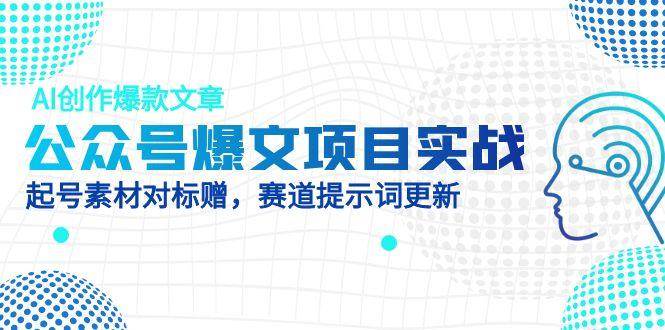 （14709期）公众号爆文项目实战，AI创作爆款文章，起号素材对标赠（附赛道AI提示词）-洛柒笔记