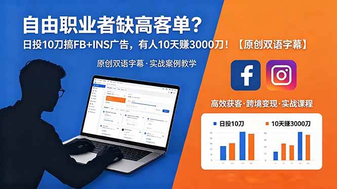 （18489期）自由职业者缺高客单？日投 10 刀搞 FB+INS 广告，有人 10 天赚 3000 刀！【原创双语字幕】-洛柒笔记