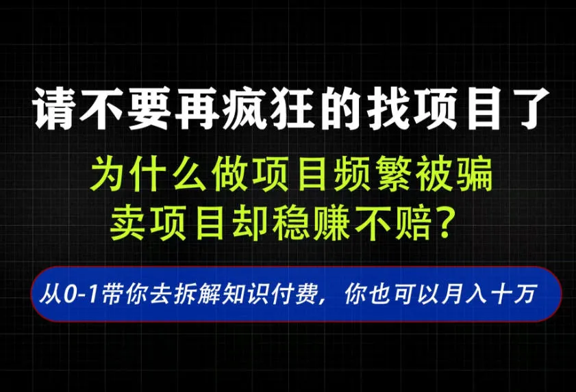 找项目？别傻了！卖项目才是真的一本万利！看完你全都懂了-洛柒笔记