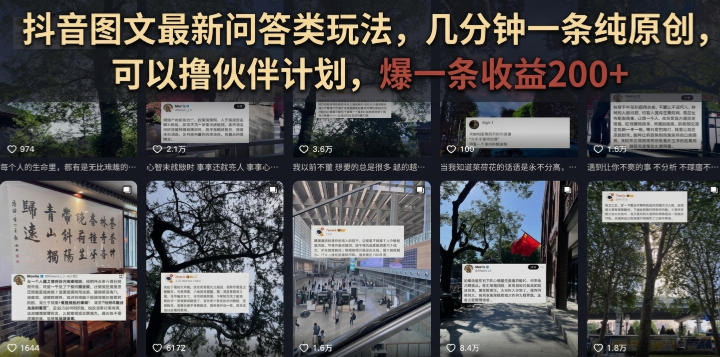 抖音图文最新问答类玩法，几分钟一条纯原创，可以撸伙伴计划，爆一条收益200+-洛柒笔记