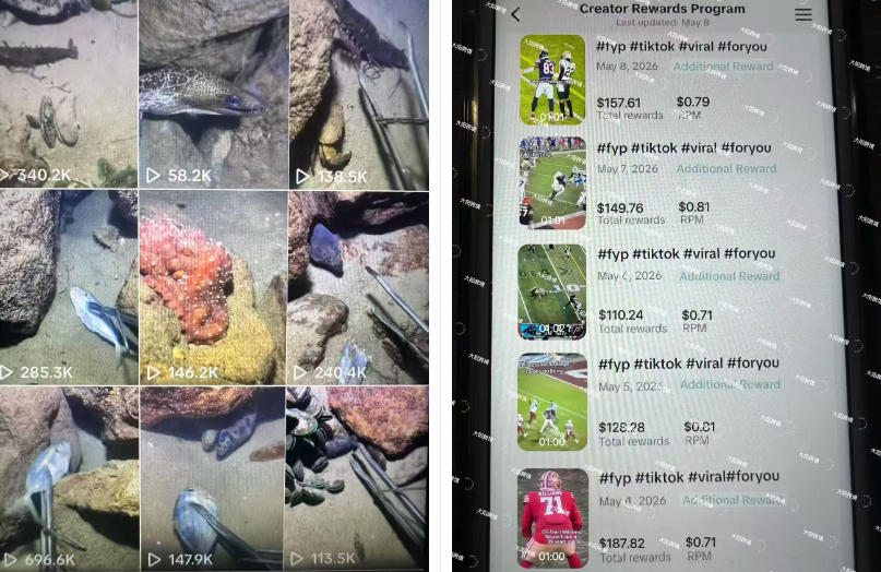 Tiktok中视频解说教程，体育+温情文案双赛道实操教程一站式带你落地，教你出海賺美刀-洛柒笔记