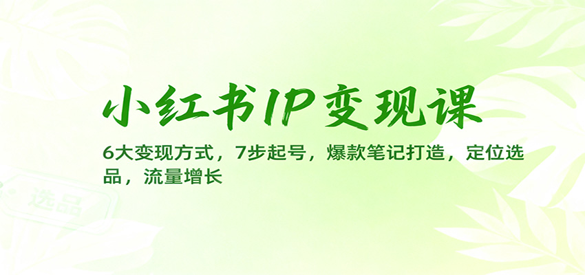 小红书IP变现课：6大变现方式，7步起号，爆款笔记打造，定位选品，流量增长-洛柒笔记