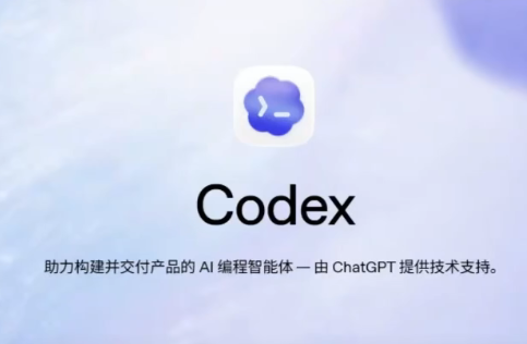 Codex零基础入门到实战全系列教程-洛柒笔记