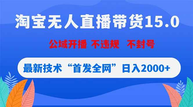 （18562期）淘宝无人直播带货15.0，不封号，不违规，公域玩法，首发全网日入2000+-洛柒笔记
