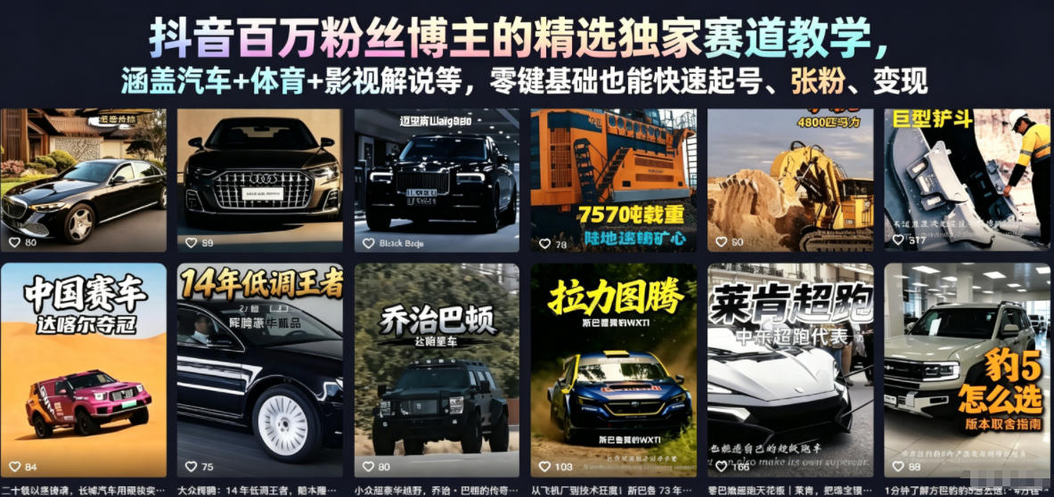 抖音百万粉丝博主的精选独家赛道教学，涵盖汽车+体育+影视解说等，零基础也能快速起号、涨粉、变现（更新0701）-洛柒笔记