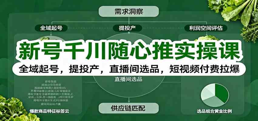 新号千川随心推实操课：全域起号，提投产，直播间选品，短视频付费拉爆-洛柒笔记