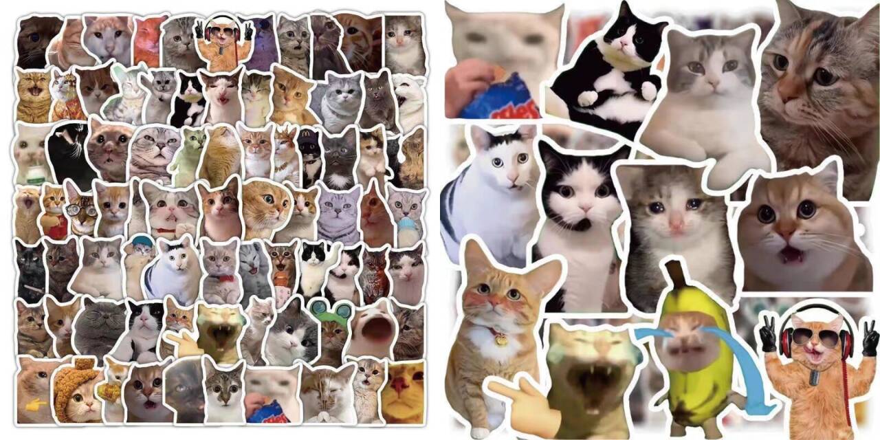 某宝付费素材，猫meme素材绿幕视频剪辑素材小猫咪跳舞，适合抖音B站搞笑短视频合集！-洛柒笔记