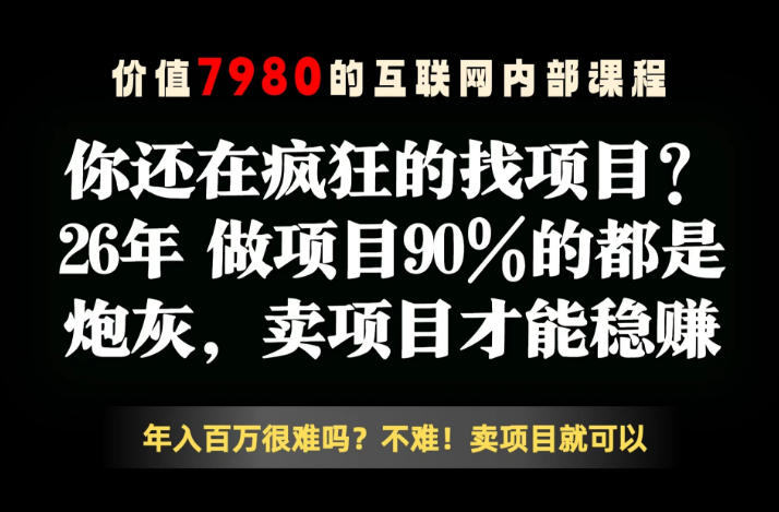 26年请不要疯狂的找项目了，卖项目远比你想象的暴利，你也可以月入10W+【揭秘】-洛柒笔记