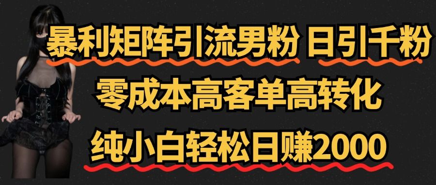 暴利矩阵引流男粉（日引千粉），零成本高客单高转化，纯小白轻松日赚2000+-洛柒笔记
