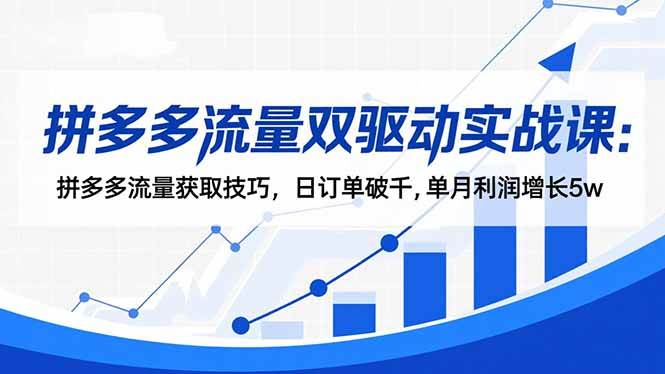 （16563期）拼多多流量双驱动实战课：拼多多流量获取技巧，日订单破千,单月利润增长5w-洛柒笔记